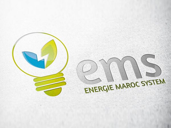 Logo EMS